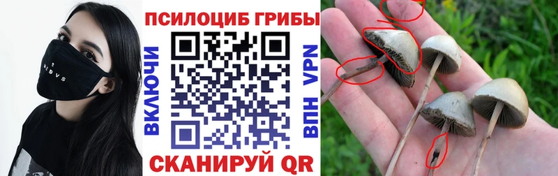 блэк спрут зеркало  Кулебаки  Галлюциногенные грибы прущие грибы 